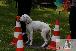 Welpen  24.05.2025 42